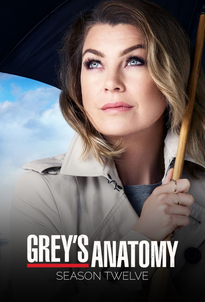 Grey's Anatomy - Season 12 [134582] (A1774147507) [[Shows 2.0]] --Plex--